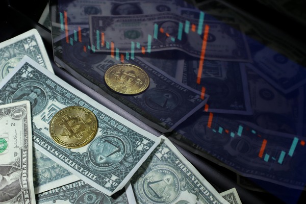 Bitcoin coin on dollar bills with a chart overlay
