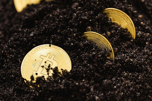 Gold Bitcoin coins half buried in soil