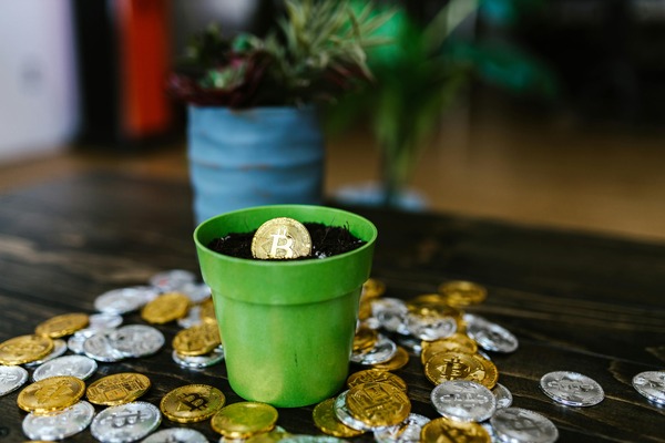 Plant pot surrounded by crypto coins